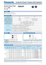 25TQC33MYF 数据规格书 1