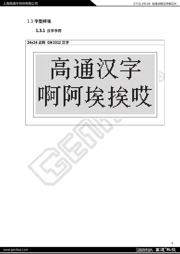GT21L24S1W 数据规格书 6