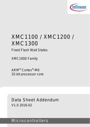 XMC1100Q040F0064ABXUMA1 数据规格书 3