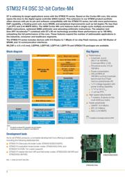 STM32F407IGH6 datasheet.datasheet_page 2