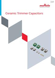 TZC3R100A110B00 datasheet.datasheet_page 1