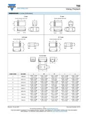 T55B227M6R3C0025 datasheet.datasheet_page 2