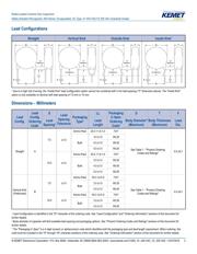 C947U472MZVDBA7317 datasheet.datasheet_page 3