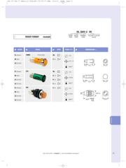 NL177C2R datasheet.datasheet_page 2