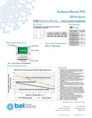 0ZCM0020FF2G datasheet.datasheet_page 3