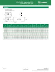 1210L020WR 数据规格书 4