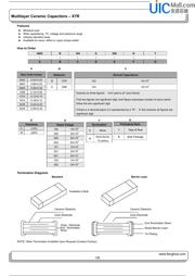 0603B102K500NT 数据规格书 1