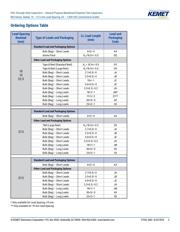 R60MF3100AA6AM 数据规格书 2