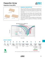 W3A45C102KAT2A datasheet.datasheet_page 2