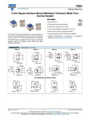 TSM4YJ101KR05 datasheet.datasheet_page 1