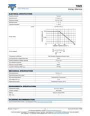 TSM4YJ101KR05 datasheet.datasheet_page 2