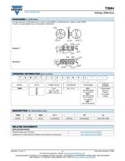 TSM4YJ101KR05 datasheet.datasheet_page 4