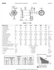 22N28-216E.286 datasheet.datasheet_page 1