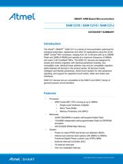 ATSAMC21E18A-MUT datasheet.datasheet_page 1