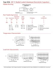 SEK100M050ST datasheet.datasheet_page 2