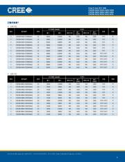 C503B-RAN-CY0B0AA1 datasheet.datasheet_page 4