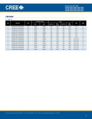 C503B-RAN-CY0B0AA1 datasheet.datasheet_page 5