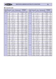 100ZL47MEFC10X12.5 datasheet.datasheet_page 2