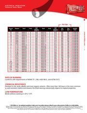 AGAG.06RD100 datasheet.datasheet_page 2