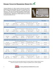 202S43W102KV4E 数据规格书 4