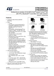 STM32WB55RGV6B datasheet.datasheet_page 1