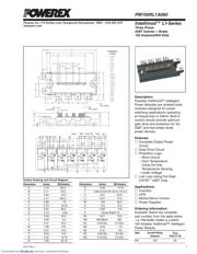 PM150RL1A060 datasheet.datasheet_page 1
