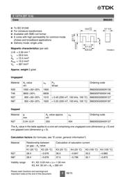 B66306C1010T2 datasheet.datasheet_page 2