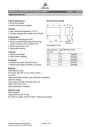 B32652A6104K000 datasheet.datasheet_page 2