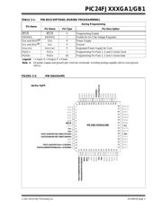 PIC24FJ64GB108T-I/PT datasheet.datasheet_page 3