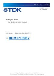 HHM17139B2 datasheet.datasheet_page 1