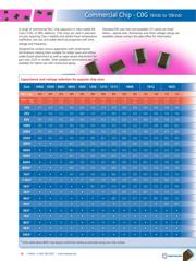 0402N101J500NXT datasheet.datasheet_page 1