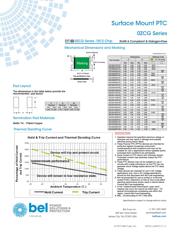 0ZCG0260BF2B datasheet.datasheet_page 3