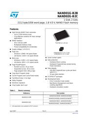 NAND01GW3B2BN6E datasheet.datasheet_page 1