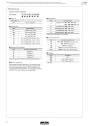 TZB4P300AB10B00 datasheet.datasheet_page 4