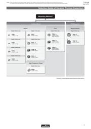 TZB4P300AB10B00 datasheet.datasheet_page 5