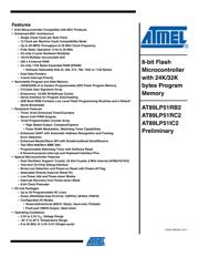 AT89LP51RB2-20MU datasheet.datasheet_page 1