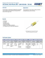 C4CAYUD3100AA1J datasheet.datasheet_page 1