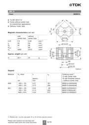 B65813J1600K41 datasheet.datasheet_page 3