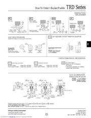 A101J1AV2Q0 数据规格书 5