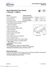 BTS4141N_09 datasheet.datasheet_page 1