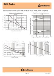 RMB2S datasheet.datasheet_page 3