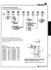 PS000SS30 datasheet.datasheet_page 2