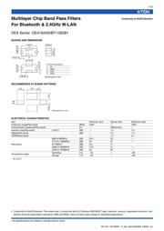 DEA162450BT-1262B1 datasheet.datasheet_page 1