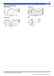 DEA162450BT-1262B1 datasheet.datasheet_page 2