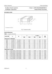 CC0603DRNPO9BN8R2 datasheet.datasheet_page 3