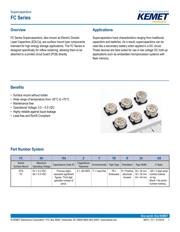 FC0H104ZFTBR24 datasheet.datasheet_page 1