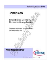 ICB2FL02GXUMA1 datasheet.datasheet_page 1