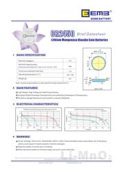 CR2450 datasheet.datasheet_page 1