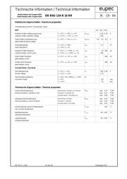 DDB6U134N16RR datasheet.datasheet_page 2