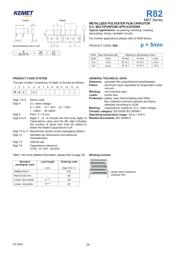 R82IC3100DQ60J datasheet.datasheet_page 1